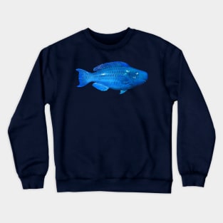 Blue Parrotfish Crewneck Sweatshirt